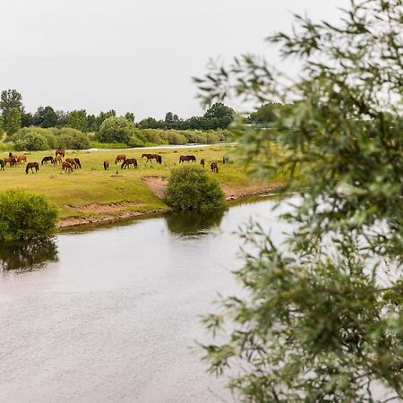 Thoeles*** Am Allerpark Verden 威尔登 外观 照片