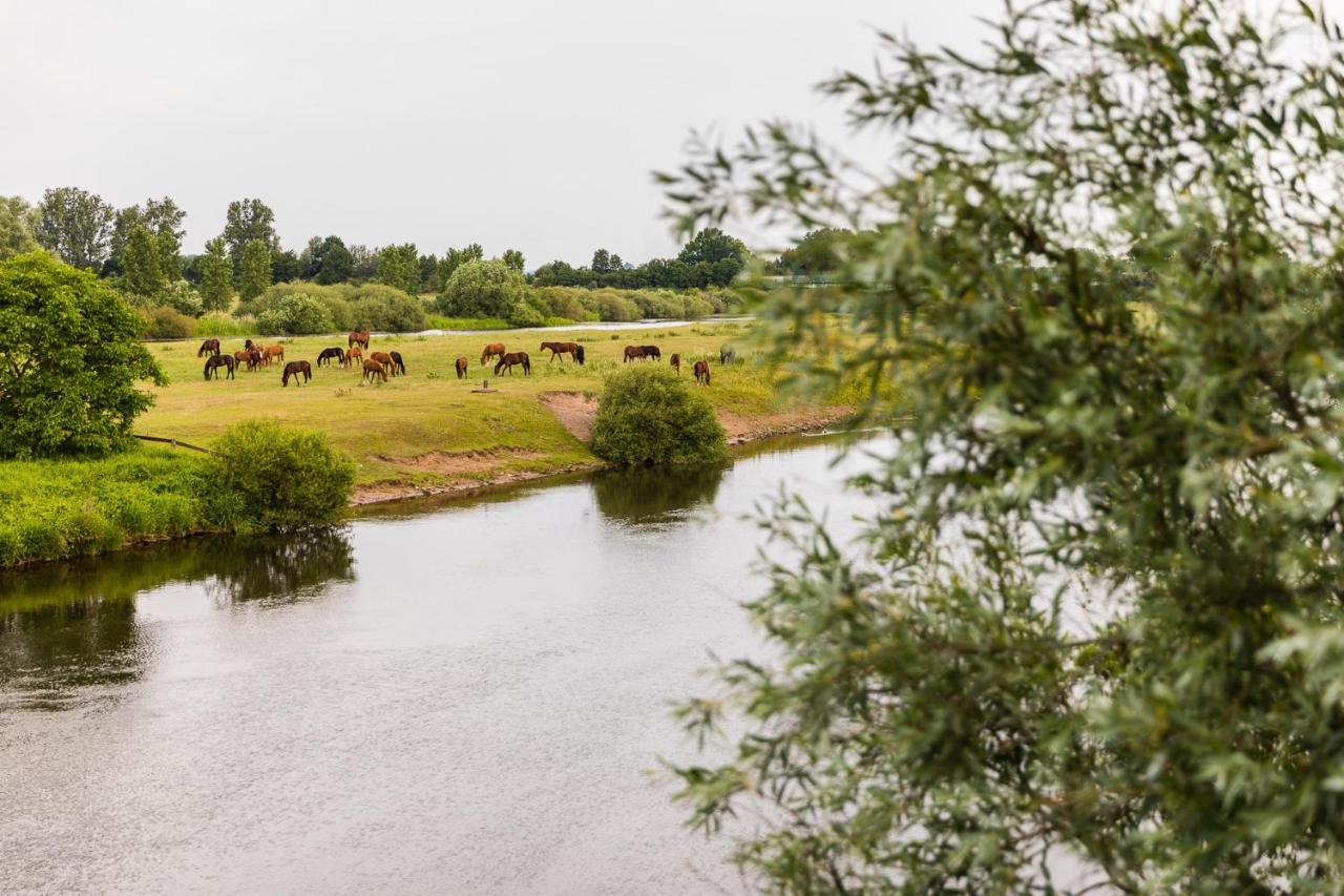 Thoeles*** Am Allerpark Verden 威尔登 外观 照片